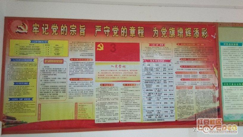 网球运动员营救
